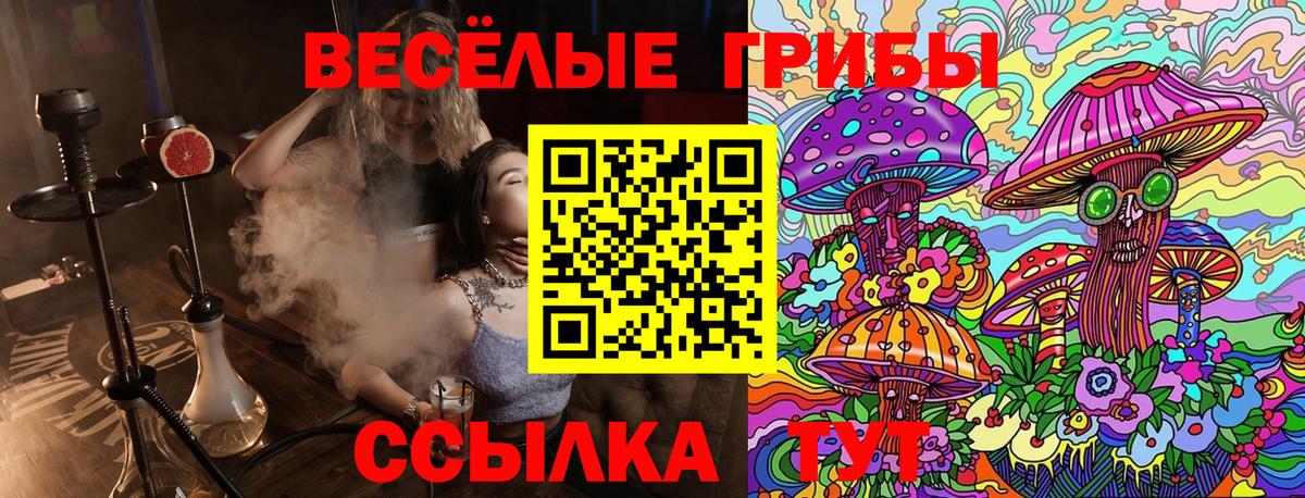 Псилоцибиновые грибы прущие грибы  Вход с VPN  Нарьян-Мар 