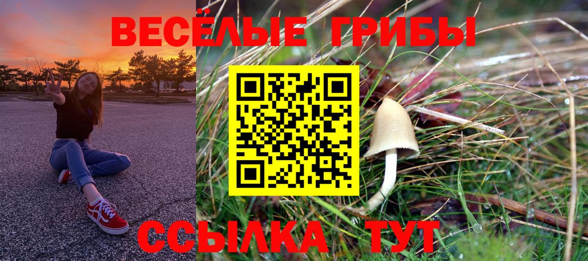 Галлюциногенные грибы ЛСД  Нарьян-Мар 