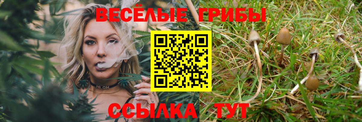 Галлюциногенные грибы GOLDEN TEACHER Нарьян-Мар